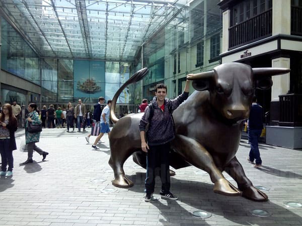 Birmingham Bull