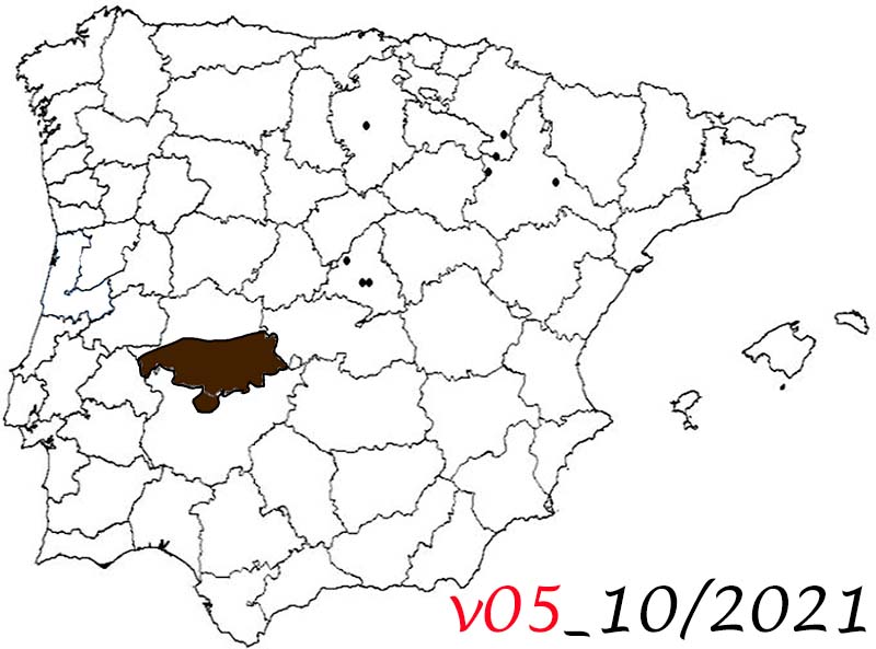 mapa_viajes5