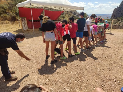 espectaculo de cetreria, poza de sal