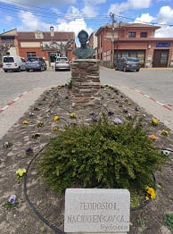 plaza mayor de coca