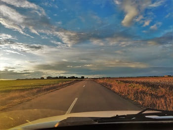 camino de encinas de esgueva