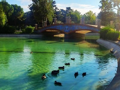 estanque del ferial de Talavera