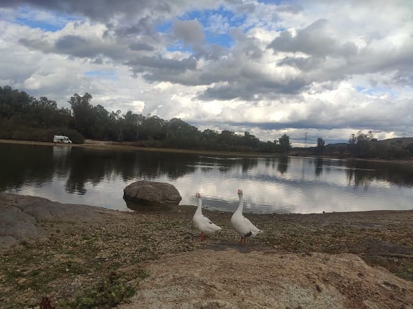 embalse del burguillo