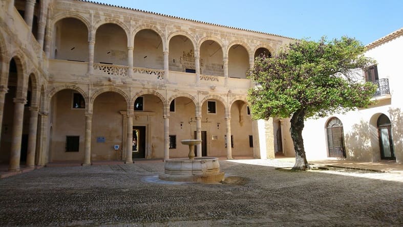 palacio condes de Fontanar, patio, Bornos