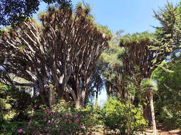 jardines de palacio orleans, san lucar barrameda