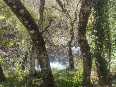 ruta de los pescadores, Arenas de San Pedro