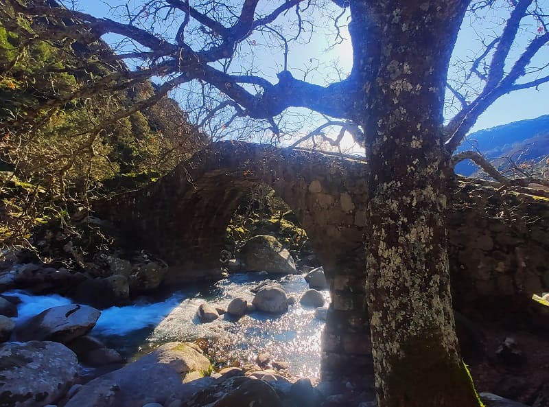 puente del puerto de candeleda, gredos