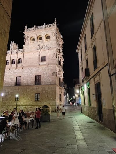 palacio de Monterrey de Salamanca, noche
