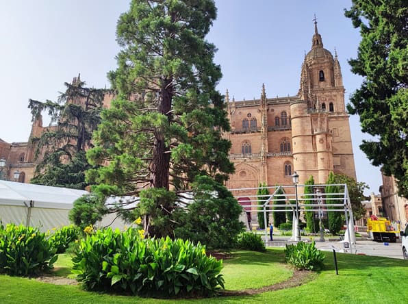 catedral Nueva de Salamanca, fachada lateral