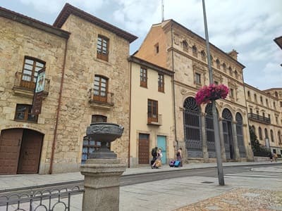 palacio de Salinas, Salamanca