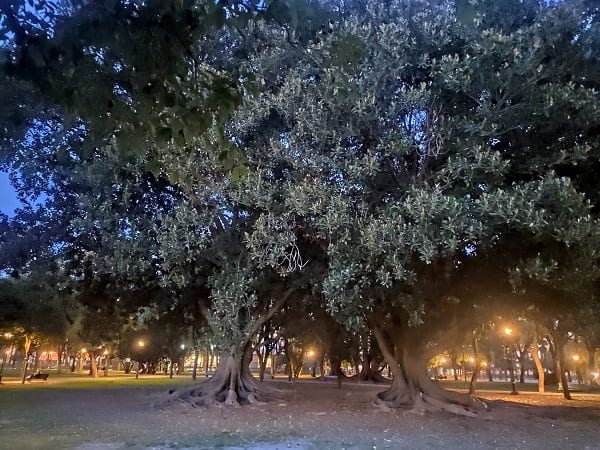 Parque de los Principes, Sevilla