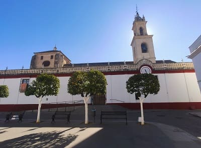colegiata de santa Maria de las Nieves, Olivares