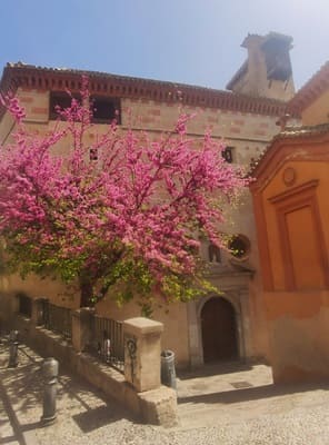 palacio de los Olvidados, casa de la Moneda, Granada