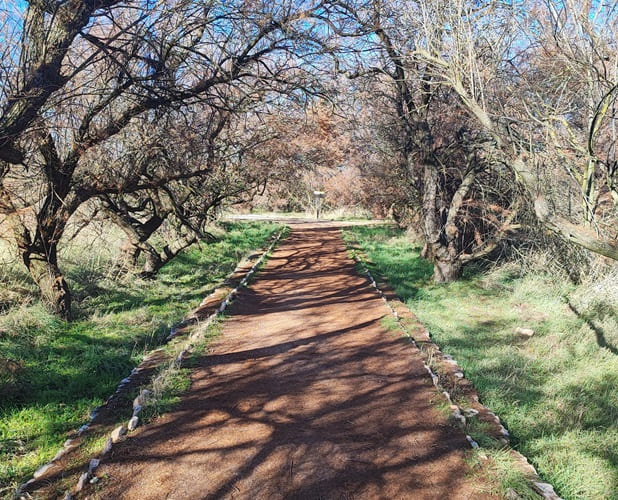 Las Tablas de Daimiel