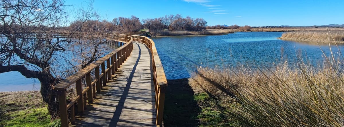 Las Tablas de Daimiel