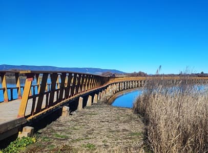 Las Tablas de Daimiel