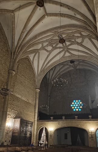 vista trasera interior, Catedral de Santa María de Ciudad Real