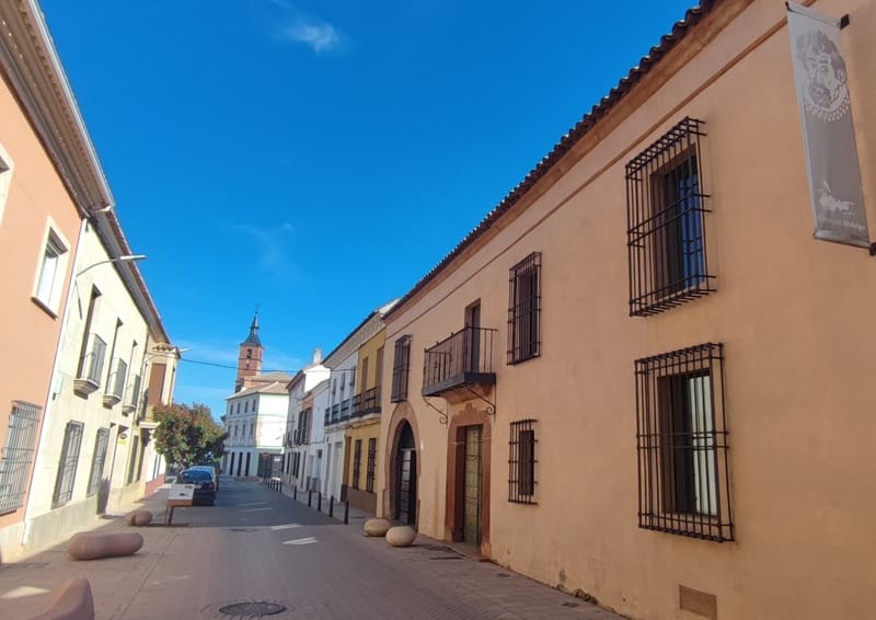 Museo del Hidalgo, Alcazar de San Juan