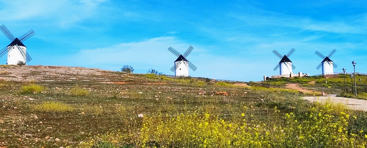 molinos en Alcazar de San Juan