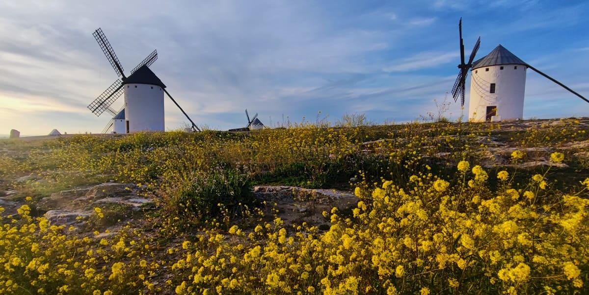 molinos en Campo de Criptana