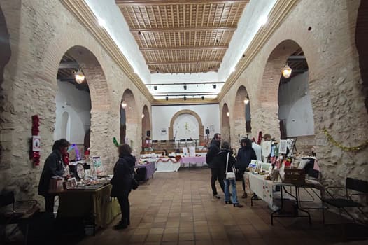 auditorio ines ibañez, interior, Valdepeñas